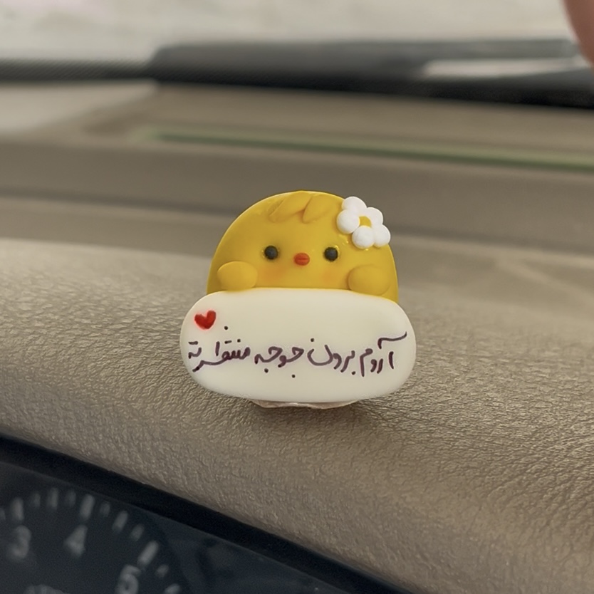 روداشبوردی‌ جوجه